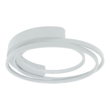 LED Ceiling light LED/30W/230V 3000/4000/6000K white