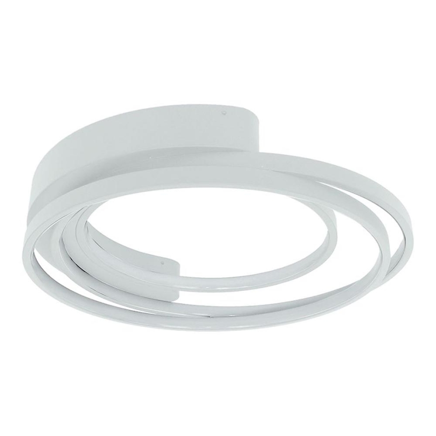 LED Ceiling light LED/30W/230V 3000/4000/6000K white