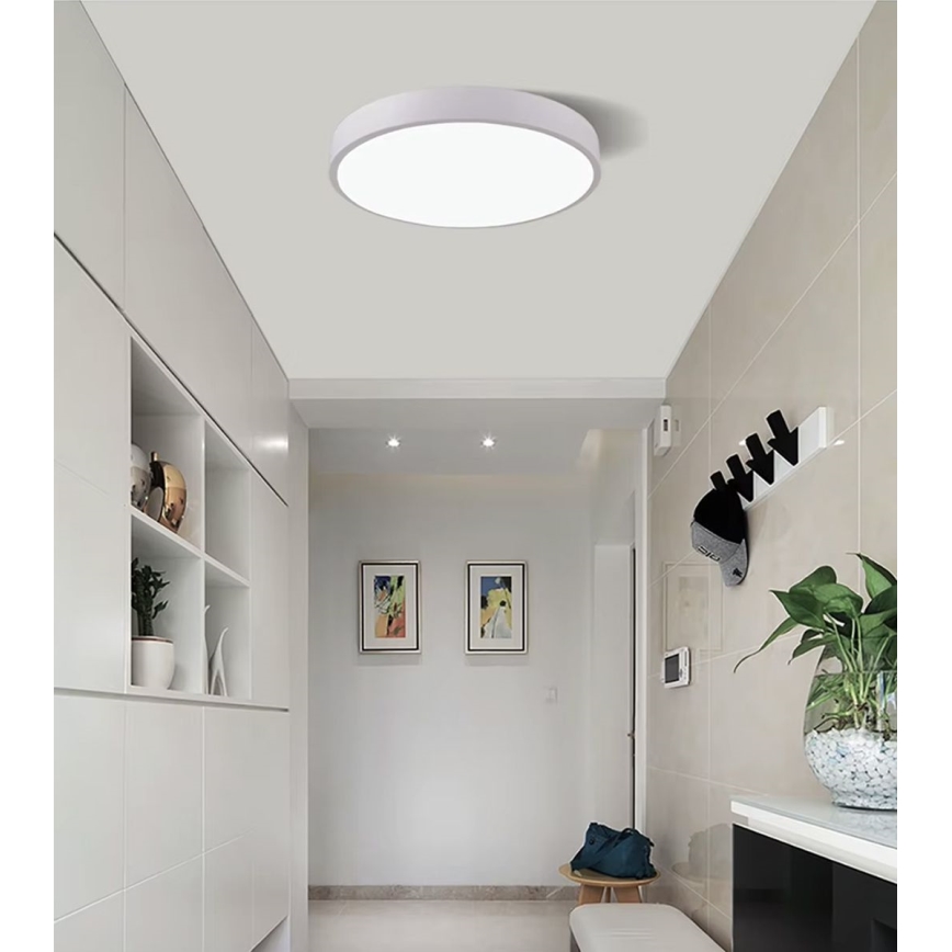 LED Ceiling light LED/30W/230V 4000K d. 30 cm white