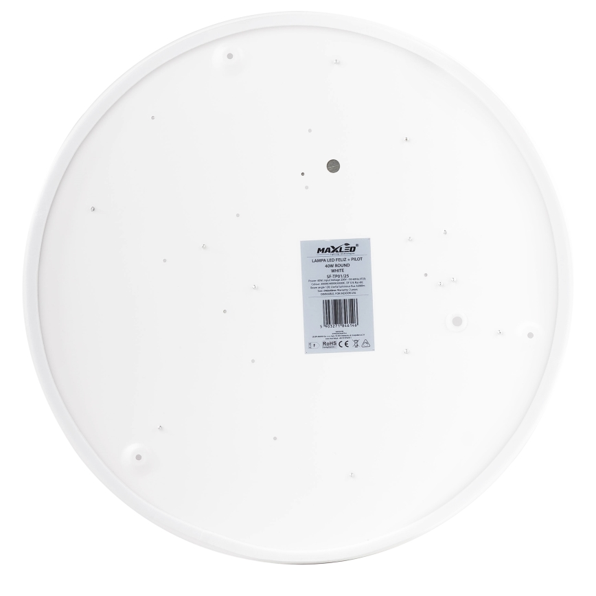 LED Ceiling light LED/30W/230V 4000K d. 30 cm white