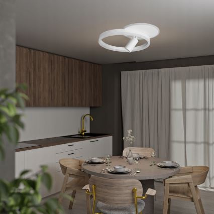 LED Ceiling Light LED/38W/230V + 1x GU10/30W White