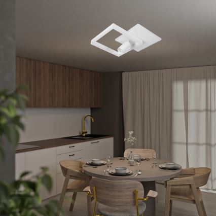 LED Ceiling Light LED/38W/230V + 1xGU10/30W White