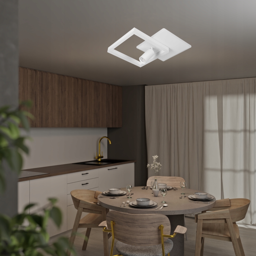 LED Ceiling Light LED/38W/230V + 1xGU10/30W White