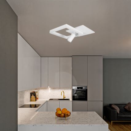 LED Ceiling Light LED/38W/230V + 1xGU10/30W White