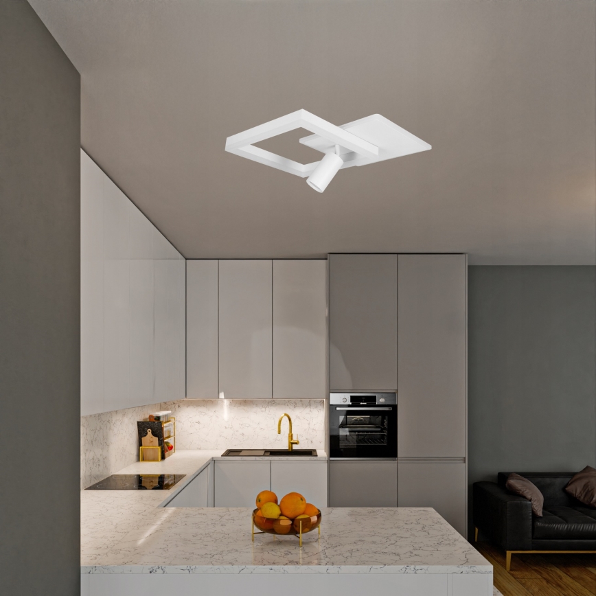 LED Ceiling Light LED/38W/230V + 1xGU10/30W White