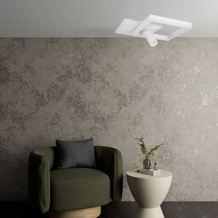 LED Ceiling Light LED/38W/230V + 1xGU10/30W White