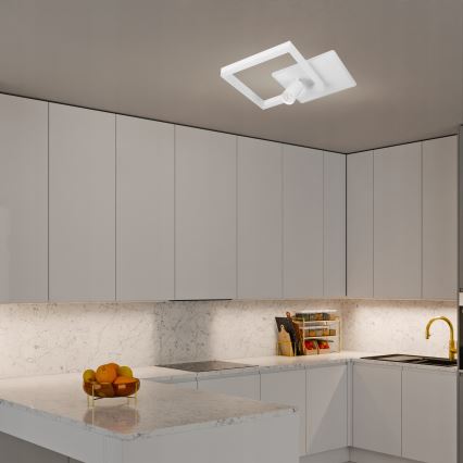 LED Ceiling Light LED/38W/230V + 1xGU10/30W White