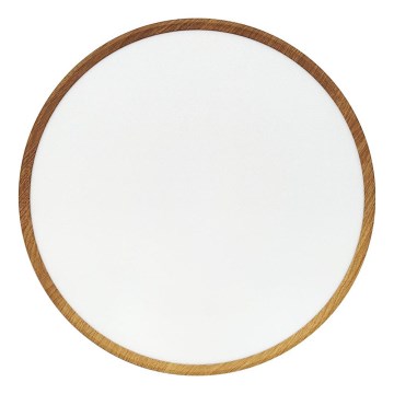 LED Ceiling Light LED/40W/230V 3000/4000/6500K Ø 50 cm beige