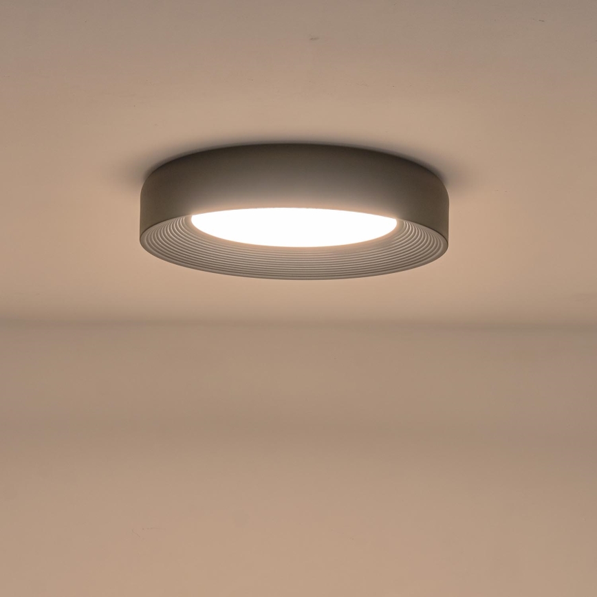 LED Ceiling light LED/40W/230V 3000K black d. 50 cm