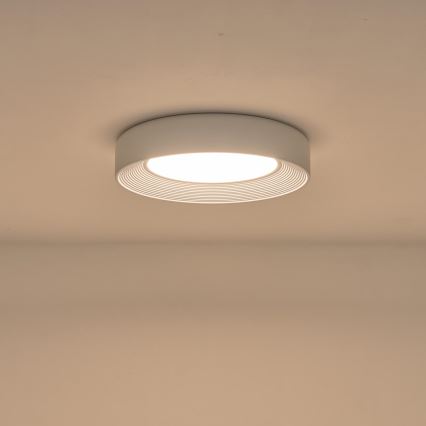 LED Ceiling light LED/40W/230V 3000K white d. 50 cm