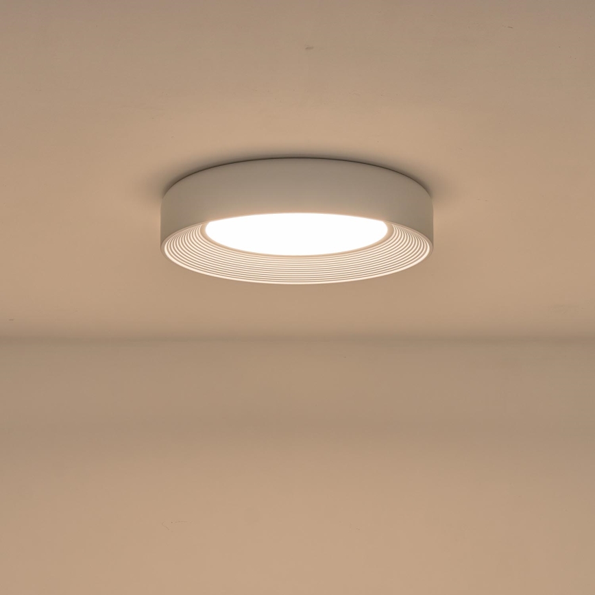 LED Ceiling light LED/40W/230V 3000K white d. 50 cm