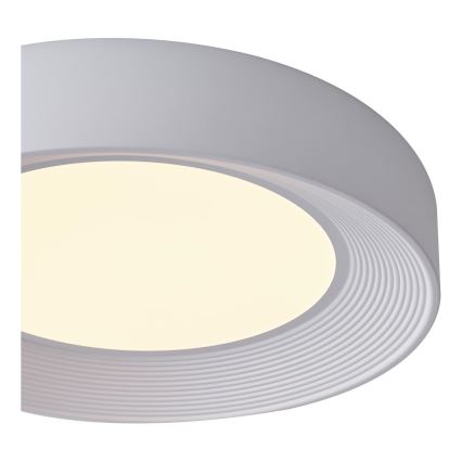 LED Ceiling light LED/40W/230V 3000K white d. 50 cm