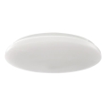 LED Ceiling light LED/45W/230V 3000K/4000K/6400K d. 48 cm white