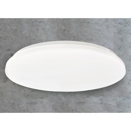 LED Ceiling light LED/45W/230V 3000K/4000K/6400K d. 48 cm white
