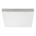 LED Ceiling light LED/6W/230V 4000K 12x12 cm white