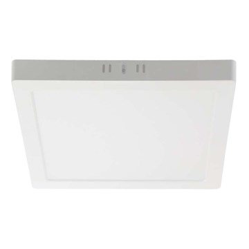 LED Ceiling light LED/6W/230V 4000K 12x12 cm white