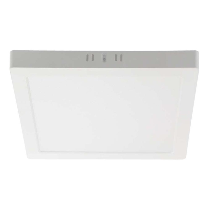 LED Ceiling light LED/6W/230V 4000K 12x12 cm white