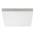 LED Ceiling light LED/6W/230V 6500K 12x12 cm white