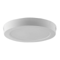 LED Ceiling light LED/6W/230V 6500K white