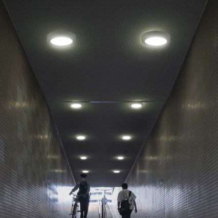 LED Ceiling light LED/6W/230V 6500K white