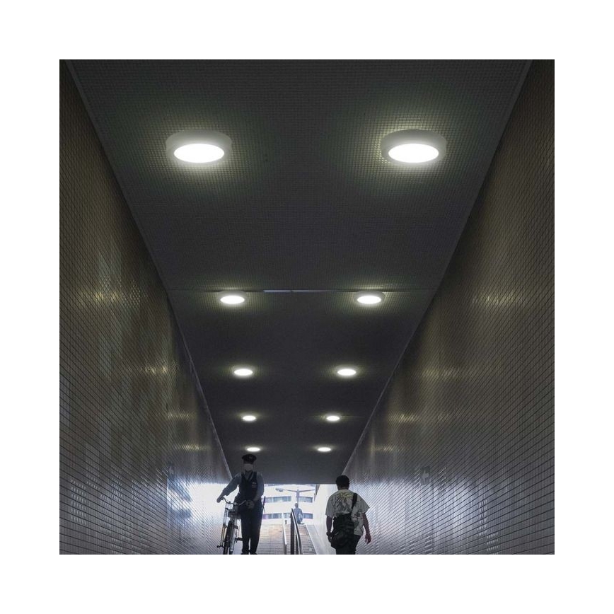 LED Ceiling light LED/6W/230V 6500K white