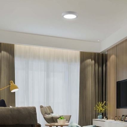 LED Ceiling light LED/6W/230V 6500K white