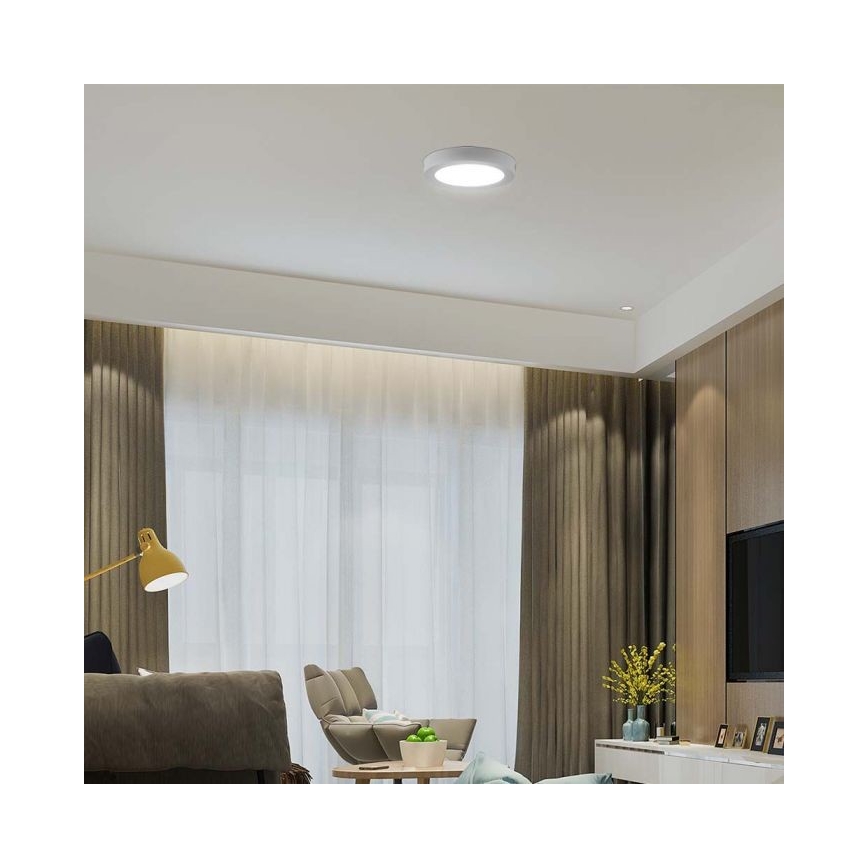 LED Ceiling light LED/6W/230V 6500K white