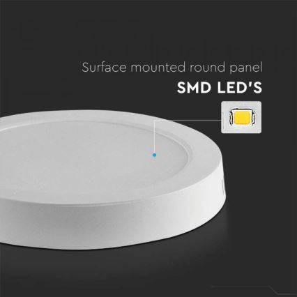 LED Ceiling light LED/6W/230V 6500K white