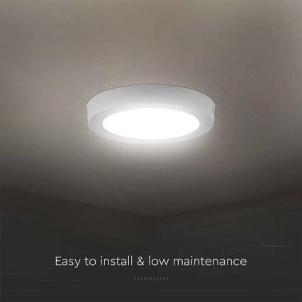 LED Ceiling light LED/6W/230V 6500K white