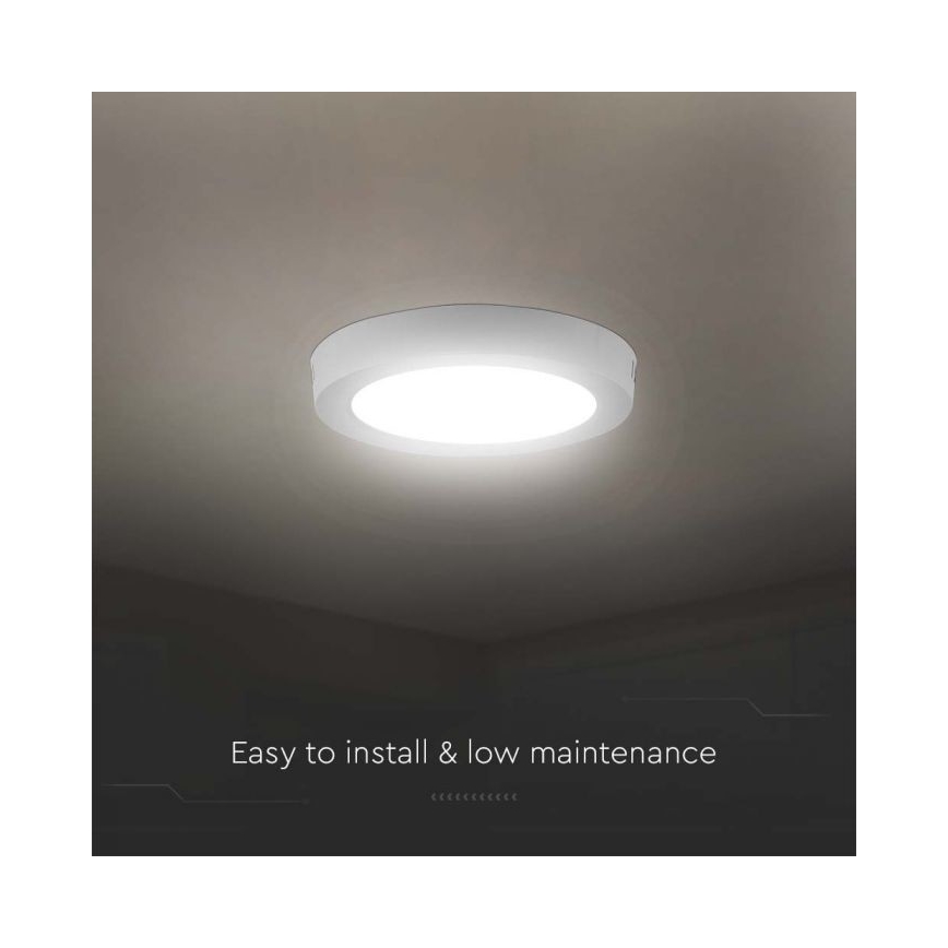 LED Ceiling light LED/6W/230V 6500K white