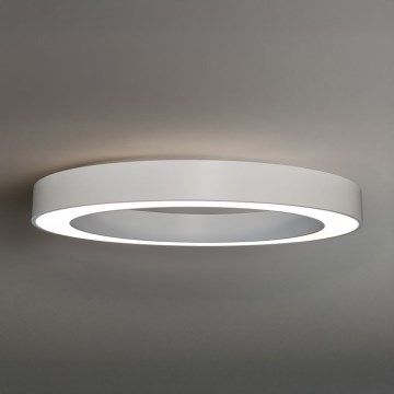 LED Ceiling Light LED/80W/230V 3000/4000/6500K Ø 80 cm, White