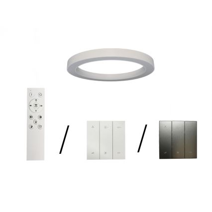 LED Ceiling Light LED/80W/230V 3000/4000/6500K Ø 80 cm, White