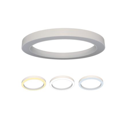 LED Ceiling Light LED/80W/230V 3000/4000/6500K Ø 80 cm, White
