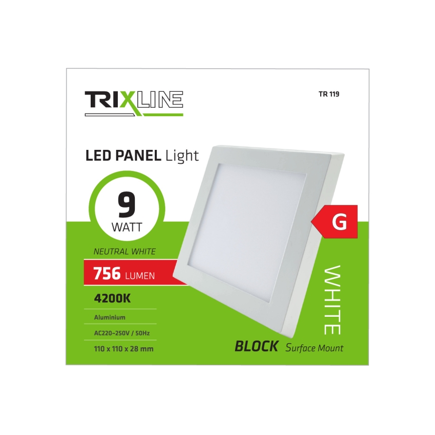 LED ceiling light LED/9W/230V 4200K