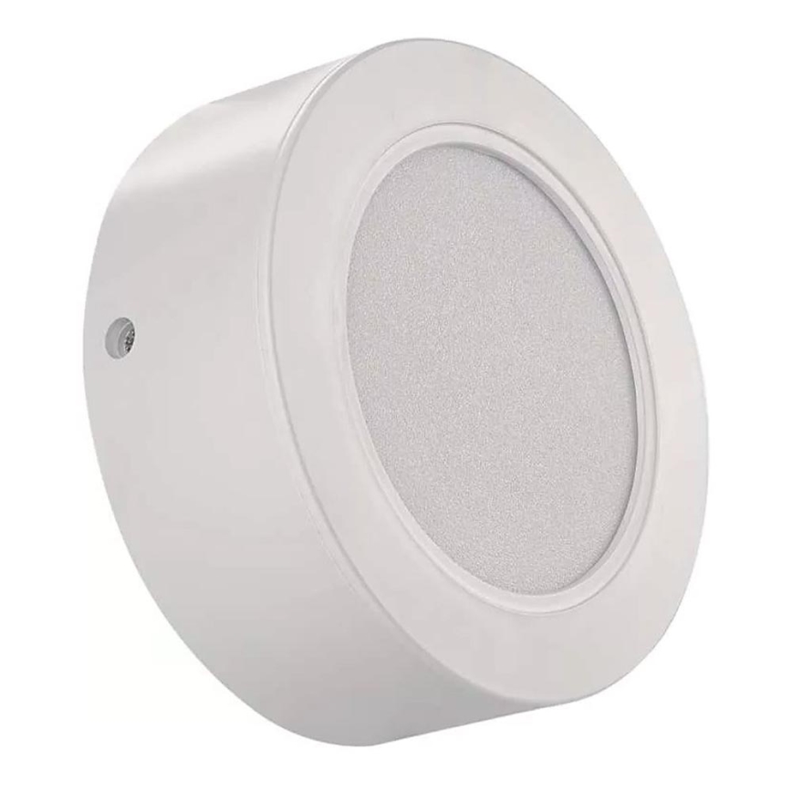LED Ceiling light LED/9W/230V d. 12 cm white