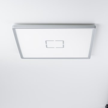LED Ceiling Light LENNA LED/22W/230V 4000K