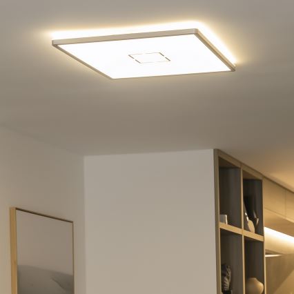 LED Ceiling Light LENNA LED/22W/230V 4000K