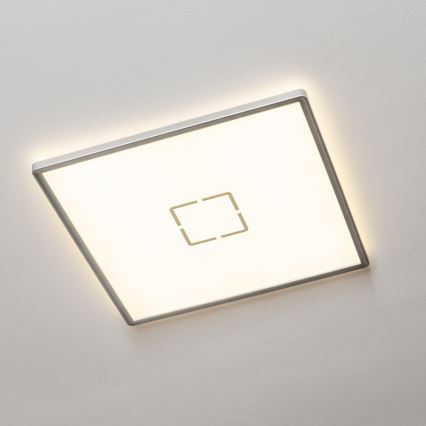 LED Ceiling Light LENNA LED/22W/230V 4000K