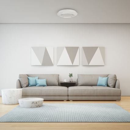 LED Ceiling light LULU LED/40W/230V
