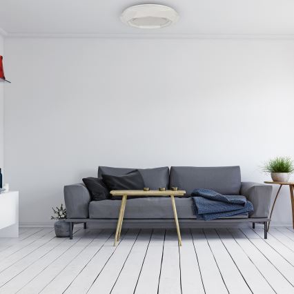 LED Ceiling light LULU LED/40W/230V