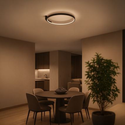 LED Ceiling Light LUNA LED/18W/230V Ø 42.5 cm black