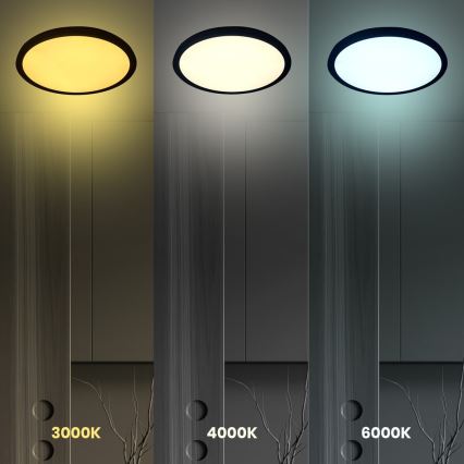 LED Ceiling light MAQ LED/32W/230V 3000/4000/6500K IP40 black