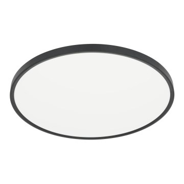 LED Ceiling light MAQ LED/50W/230V 3000/4000/6500K IP40 black
