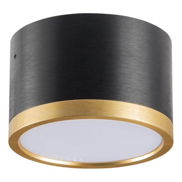 LED Ceiling light MIRELLA 1xGX53/6W/230V black/gold