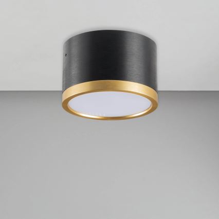 LED Ceiling light MIRELLA 1xGX53/6W/230V black/gold
