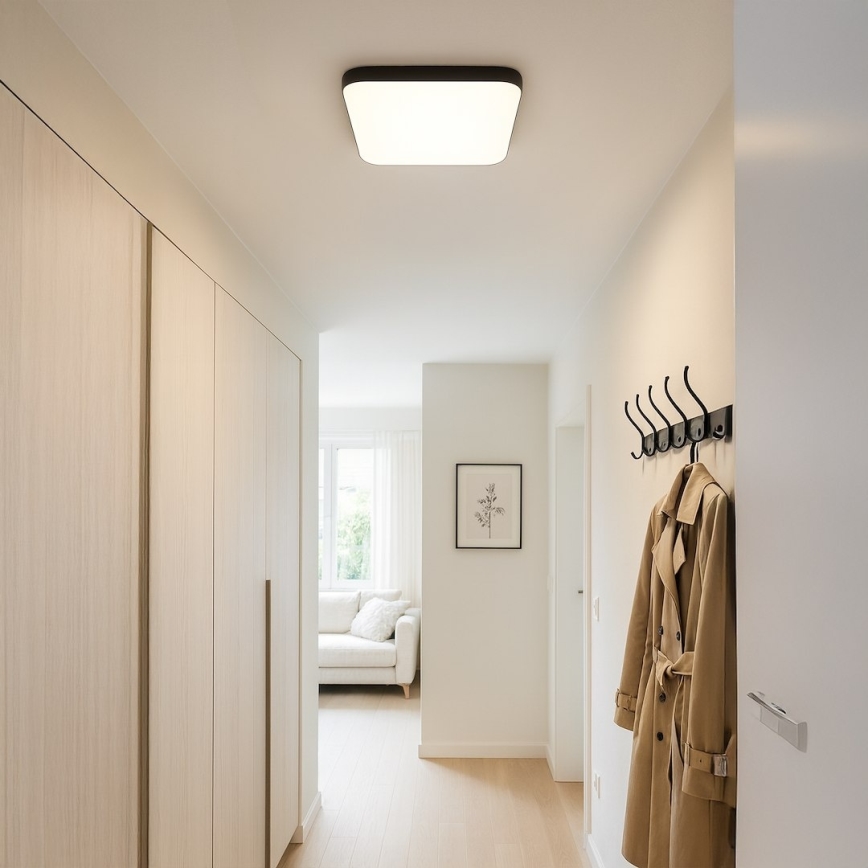 LED Ceiling Light NEMO LED/36W/230V 50x50 cm Black