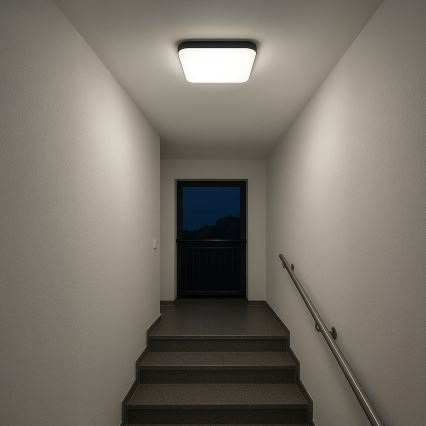 LED Ceiling Light NEMO LED/36W/230V 50x50 cm Black