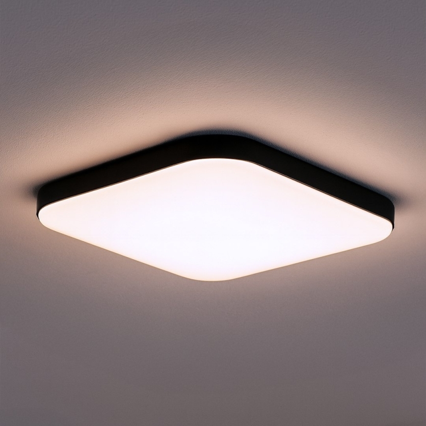 LED Ceiling Light NEMO LED/36W/230V 50x50 cm Black