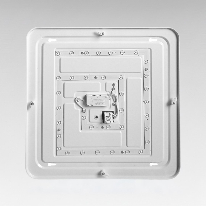 LED Ceiling Light NEMO LED/36W/230V 50x50 cm Polished Chrome