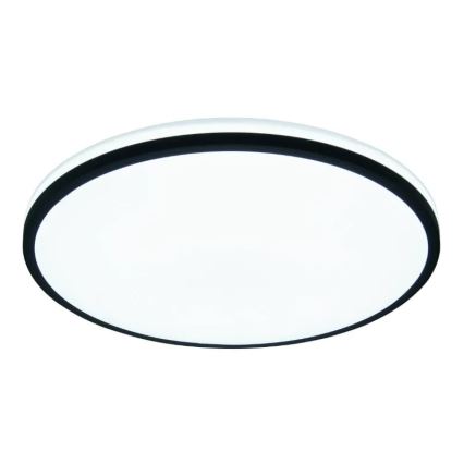 LED Dimmable ceiling light OPAL LED/48W/230V 3000-6500K + remote control